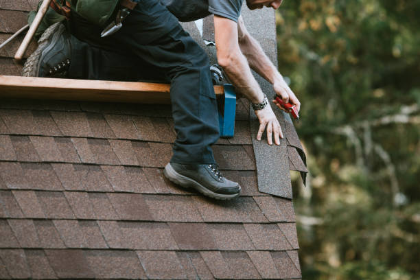 Best Roof Repair Services  in Spring City, TN